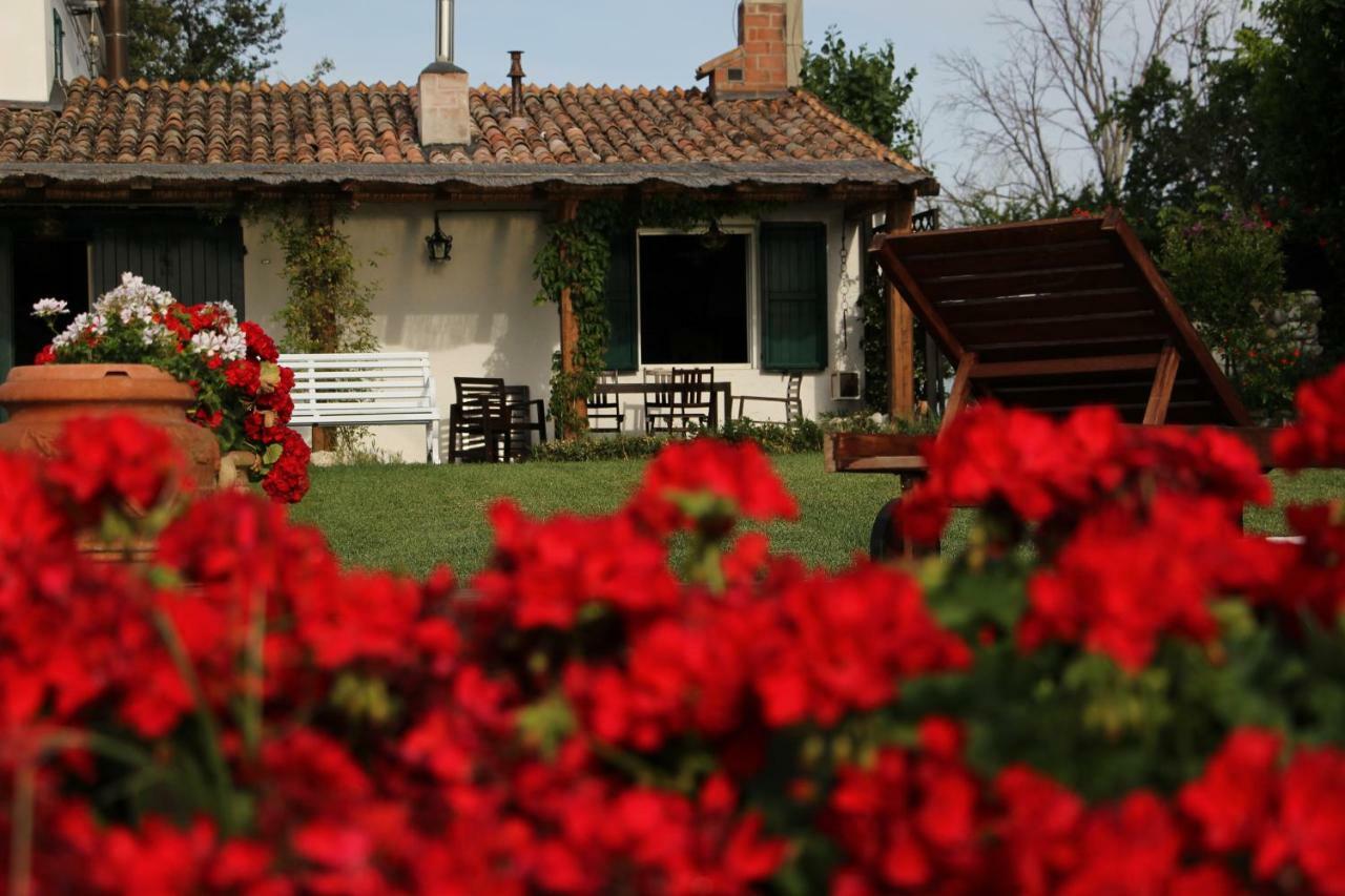 Casa S.Paolo Villa ริมินี ภายนอก รูปภาพ