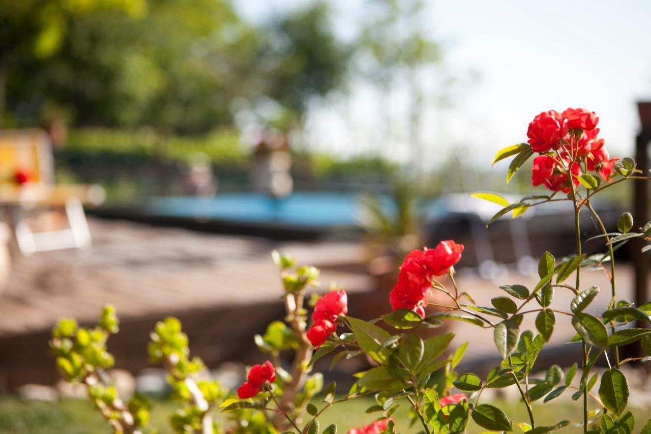 Casa S.Paolo Villa ริมินี ภายนอก รูปภาพ